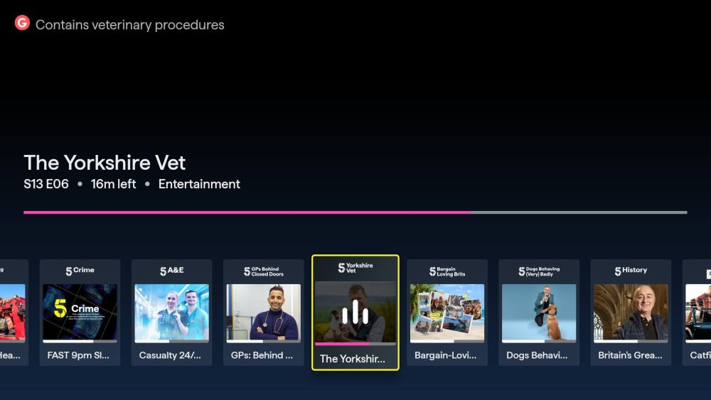 5 live channels screenshot